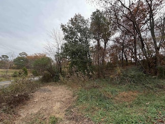 TBD Chattanooga Park, Hot Springs, AR 71901