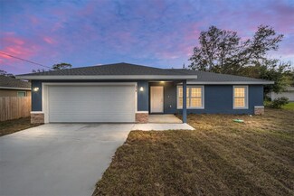 376 Malauka Loop, Ocklawaha, FL 32179