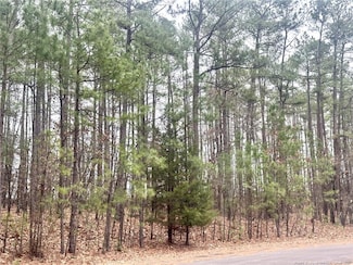 139 Boulder Dr, West End, NC 27376