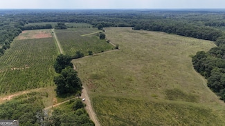 571 Bob Dodson Rd, Plains, GA 31780