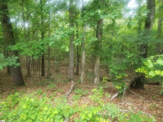 96 Oak Terrace Dr, Laurens, SC 29360