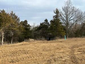 210 Boone Point Subdivision, Boonville, MO 65233