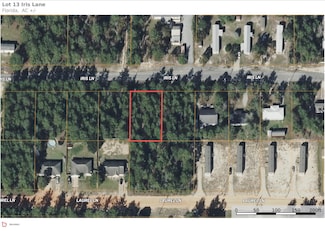 Lot 13 Iris Ln, Mossy Head, FL 32434