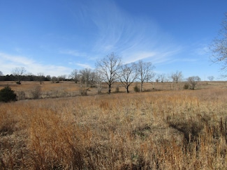 000 Highway 95, Theodosia, MO 65761