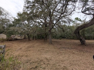 17131 SE 280th Terrace, Umatilla, FL 32784