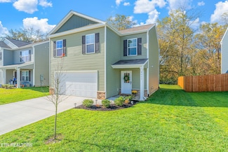 9445 River Cane Rd, Mascot, TN 37806