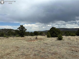 0 Old Crow Path Unit 9334962, Canon City, CO 81212