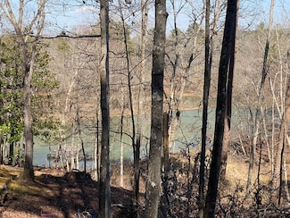 Lot 22 Rivoli Point Rd, Westminster, SC 29693