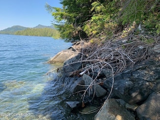L8 B2 Gem Cove Area George Inlet, Ketchikan, AK 99901