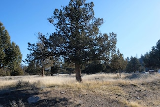 Lot 218 Mountain Wood Dr Unit 9-1, Weed, CA 96094