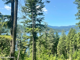 NKA E Driftwood Heights Dr, Harrison, ID 83833