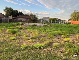 3624 Marla Dr, Palmview, TX 78572