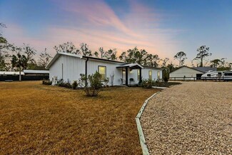 1031 White Oak Dr, Steinhatchee, FL 32359