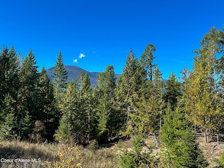 NNA Turner Hill Rd Lot 2 (4050a), Bonners Ferry, ID 83805