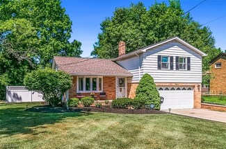 1080 Cranbrook Dr, Cleveland, OH 44143