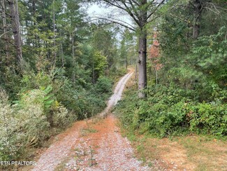 0 Whaley Ln, Oneida, TN 37841