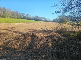 1023 Mount Vernon Rd, Woodleaf, NC 27054