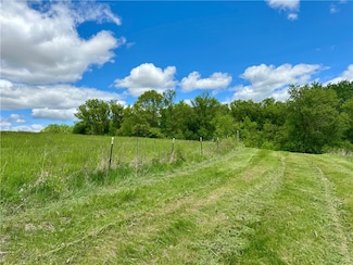 Lot 1(10 Acres) 197th St, Maiden Rock, WI 54769