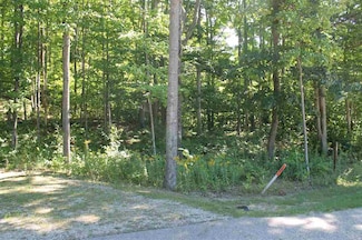 TBD Wintergreen Dr, Harbor Springs, MI 49740