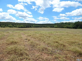 40 Acres County Road 29, Brdn Springs, AL 36272