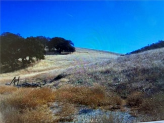 77599 Lowes Canyon Rd, San Miguel, CA 93451