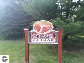 00 Ringneck Lane Lot #12, Buckley, MI 49620