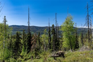 22000 Fenby Ln, Bigfork, MT 59911