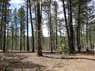 0 Pinos Verdes Unit 4 170925, Cloudcroft, NM 88317
