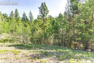 183 Cheyenne Trail, Lake George, CO 80827