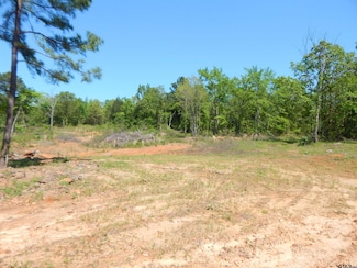 TBD 15 Acres Fm 1795 Side 2, Big Sandy, TX 75755