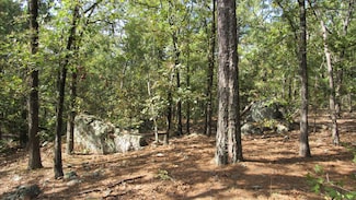 38 Antlers Reserve Rd, Antlers, OK 74523