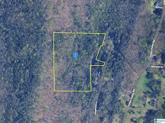 4535 Shepherd Ln, Birmingham, AL 35217