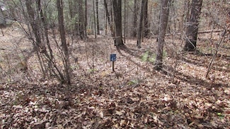 00 High Peak Dr Unit 45, Burnsville, NC 28714
