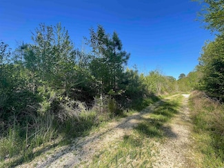 Lot 10 Wilson Lake Ln, Hot Springs, AR 71901