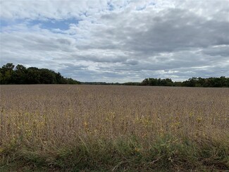 0 9 31 Acres Sycamore Ln Unit 20069095, Winfield, MO 63389