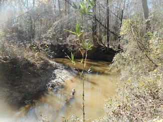 0 Joe Davis Dr, Brandon, MS 39042