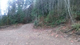 0 State Highway 508 Unit 877749, Morton, WA 98356