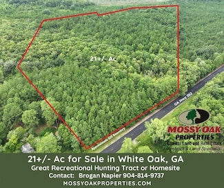 0 Georgia 252, White Oak, GA 31568