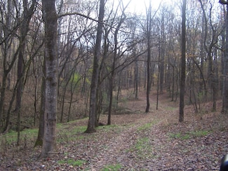 2176 Columbia Hwy, Pulaski, TN 38478