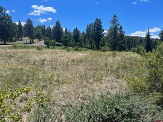 541 Church Creek Dr, South Fork, CO 81154