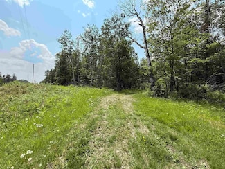 TBD Samuelson Rd, Angora, MN 55703