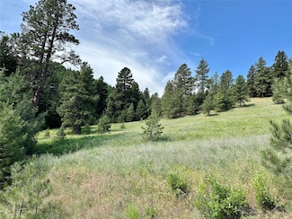 5 Upper Camp Ln, Cascade, MT 59421