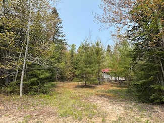 32372 W Old Chip Rd, Paradise, MI 49768