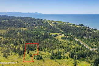 73881 Kirtley Ct, Anchor Point, AK 99556