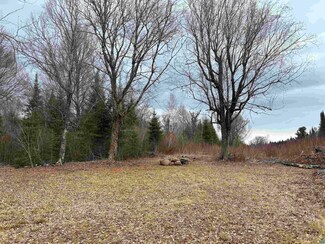 xxx Stony River Forest Rd, Isabella, MN 55607