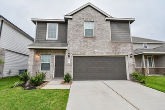 4927 Yellow Ginko Trail, Spring, TX 77373