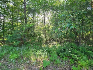 Lot 2 & 3 N Nelson St, Grantsburg, WI 54840