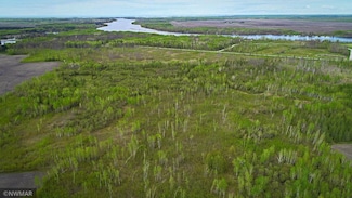 TBD State Hwy 172, Baudette, MN 56623