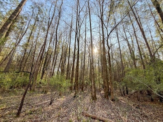 O W Point Rd, Lagrange, GA 30240