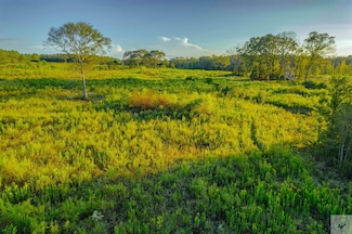 1225 County Road 4230, Atlanta, TX 75551